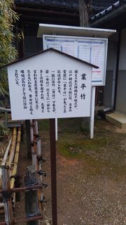業平竹.jpg