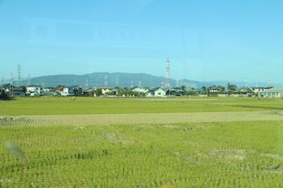 IMG_0655-1.jpg